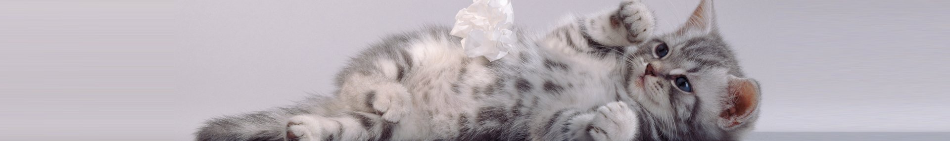 Sin egen herre - eller dame