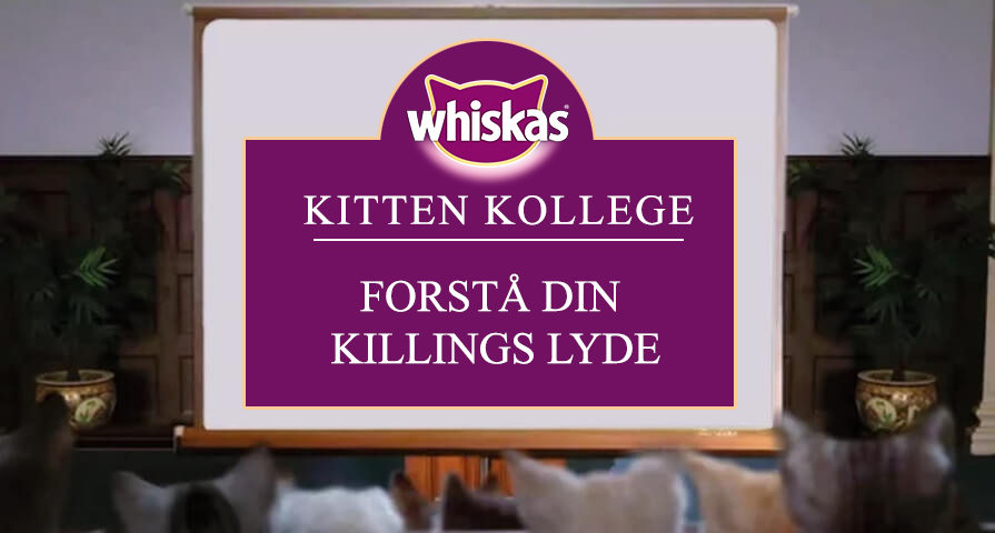Lyde og kommunikation